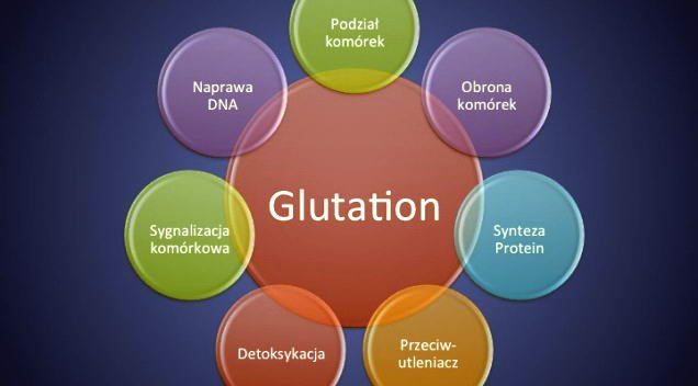 Glutation