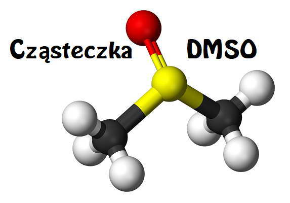 DMSO