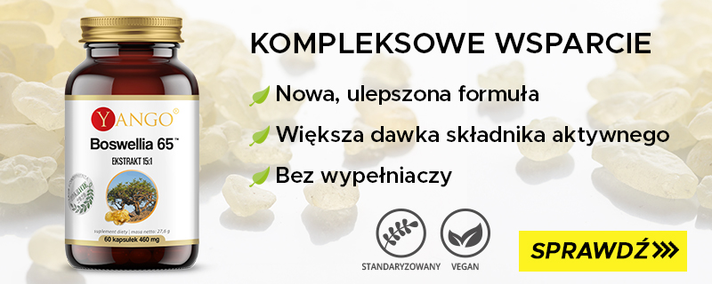 boswellia kadzidlowiec yango