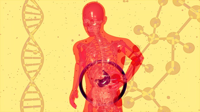 helicobacter pylori probiotyk biegunki zakazenie niska odpornosc ochrona jelit