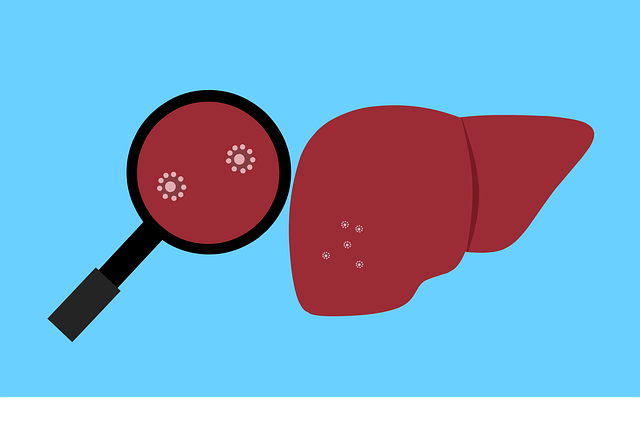 liver regeneration complex sylimaryna karczoch cholina berberyna curcumin longa regenereacja watroby ochrona odchudzanie 