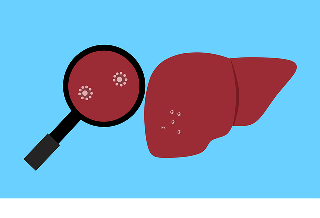 liver regeneration complex sylimaryna karczoch cholina berberyna curcumin longa regenereacja watroby ochrona odchudzanie