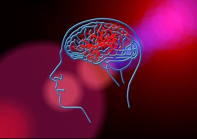 cytykolina cholina cdp udar mozgu cytykolina choroba niedokrwienna mozgu cytykolina poprawa pamieci cytykolina uzaleznienia