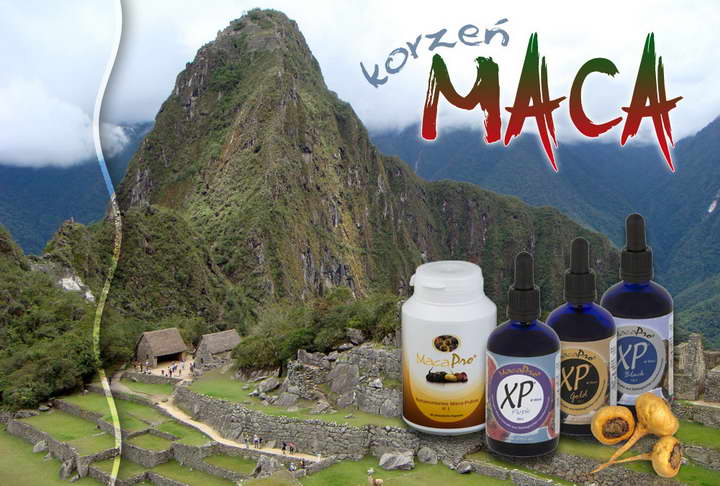 Maca