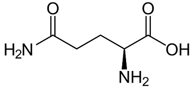 L Glutamine